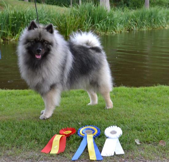 1173659_10151749522993726_1333090054_n