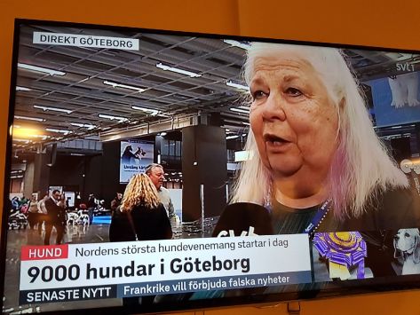 Resized_20180104_082132_1399