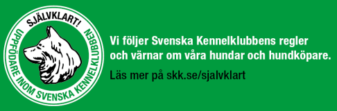 webbannons-sjalvklart-880x290px