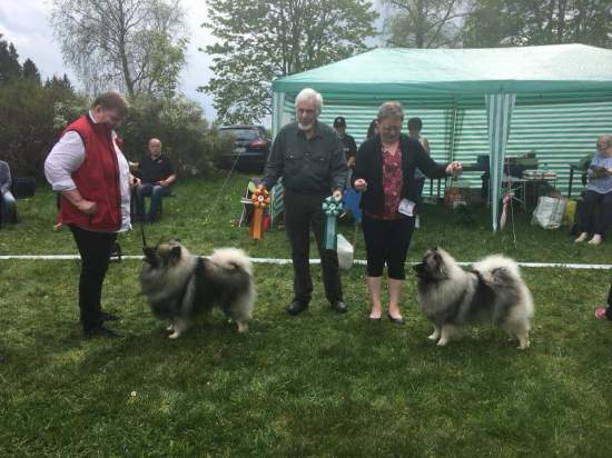 FB_IMG_1527848734423